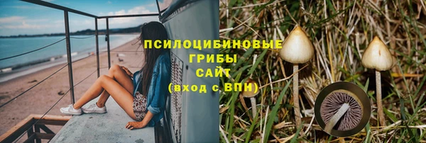 Альфа ПВП Абаза